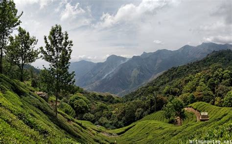 Dtpc Munnar Day Tour Top Station Flower Garden Spice Garden Part 2