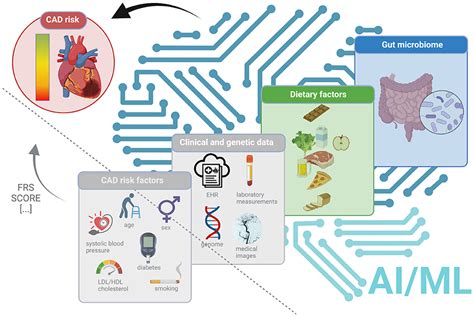 Frontiers Could Artificial Intelligence Machine Learning And