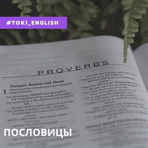 TOKI онлайн школа английского языка - Home