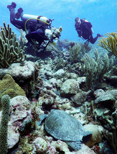 Dive school on Bonaire, Bonaire Diving Photo's ,Private Divers Bonaire