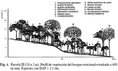 Caracterización florística y estructural de un bosque estacional en el