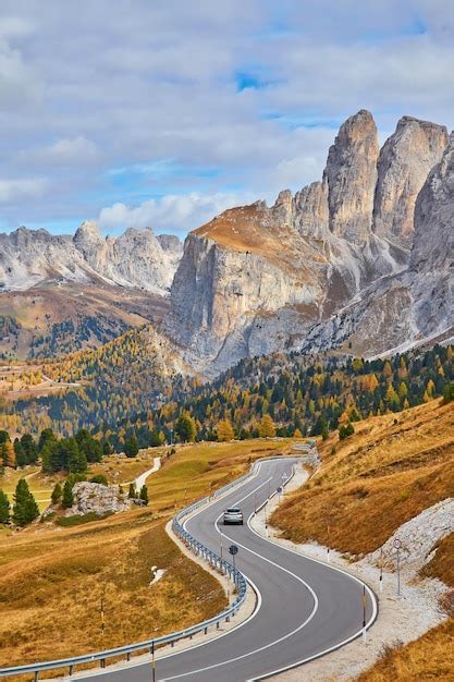 Escena de otoño con carretera curva y alerces amarillos de ambos lados