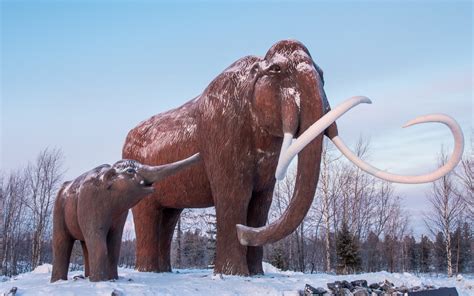 Mammoth Resurrection 11 Hurdles To Bringing Back An Ice Age Beast