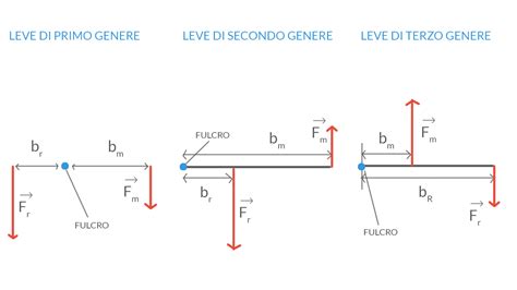 Le leve in fisica cosa sono e perché sono importanti