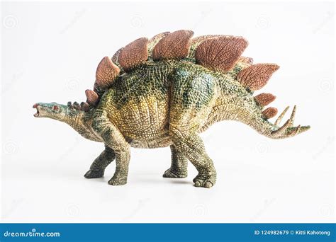 Dinosaur Stegosaurus On White Background Stock Image Image Of Wild