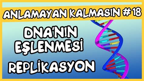 Anlamayan Kalmas N Dna N N E Lenmesi Replikasyon Youtube