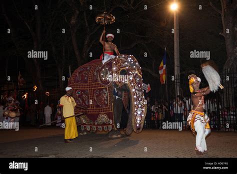 Elephant festival sri lanka hi-res stock photography and images - Alamy