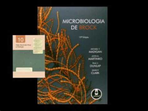 Microbiologia leitura cap 10 Visão Geral dos Vírus e Virologia