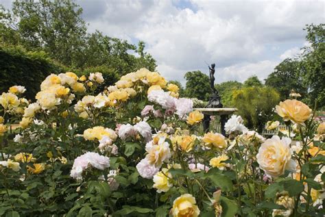 Gardens Of Hyde Park The Royal Parks