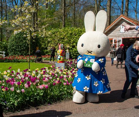 Miffy S Spring Flower Garden Only At Miffytown