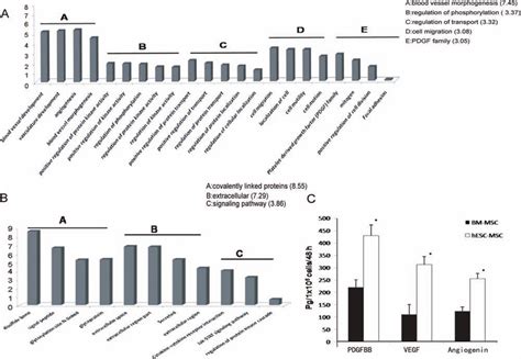 Differential Paracrine Factor Profiling Between Hesc Mscs And Bm Mscs Download Scientific