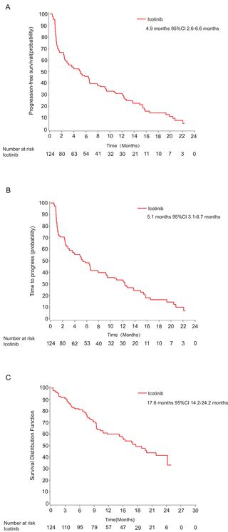 The Efficacy And Safety Of Icotinib In Patients With Advanced Non Small