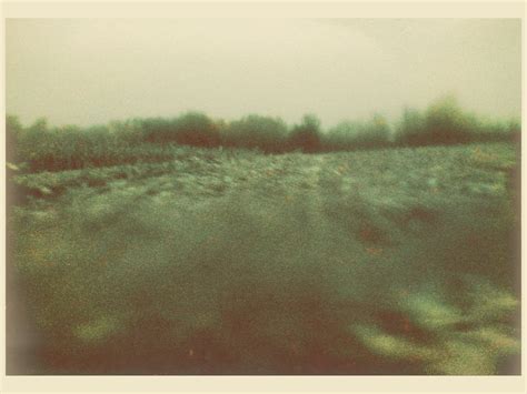 Untitled Nikola Flickr