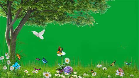 Green Screen Garden Video Background Flower Green Screen No Copyright