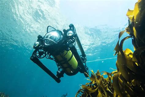 Boxfish Introduces Autonomous Rov Capability Ust