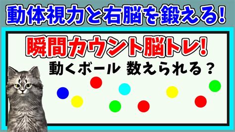 【脳トレ】右脳を鍛えるトレーニング！瞬間カウントクイズ！全5問！ Youtube