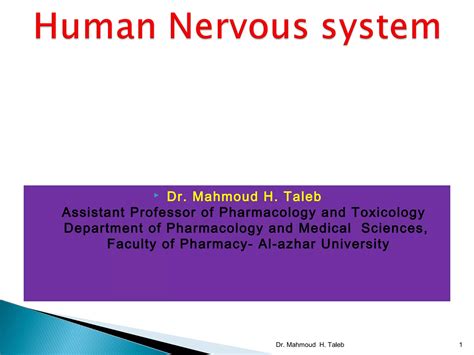 4 Cholinergic Agonists Antagonists PPT