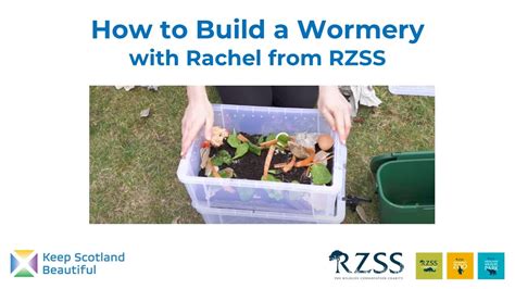 How to Make a Wormery for Home or Classroom - Eco-Schools & RZSS - YouTube