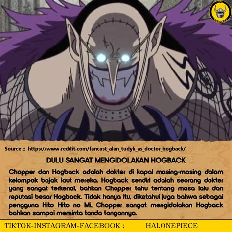 DULU SANGAT MENGIDOLAKAN HOGBACK - HALONEPIECE