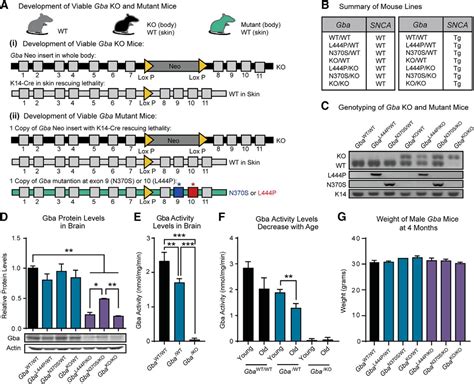 Glucosylsphingosine Promotes Synuclein Pathology In Mutant Gba