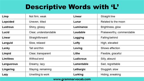 Adjectives L Words To Describe Someone Grammarvocab