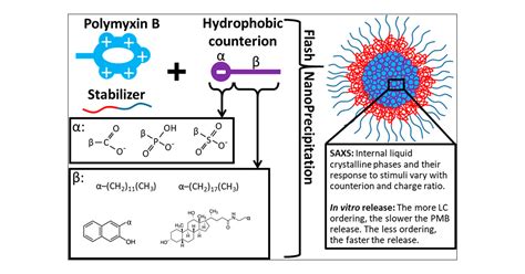 Chemistry And Geometry Of Counterions Used In Hydrophobic Ion Pairing