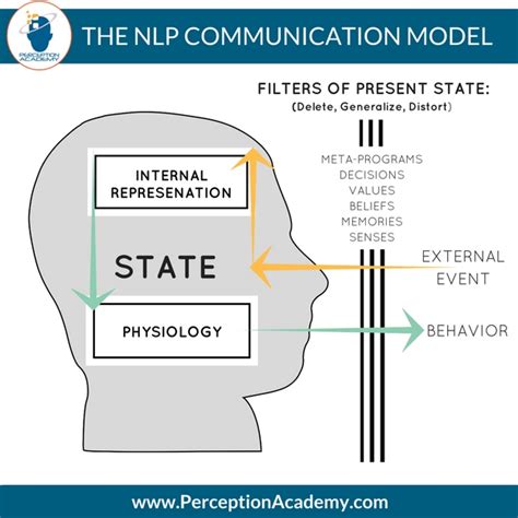 The Nlp Model Of Perception Perception Academy