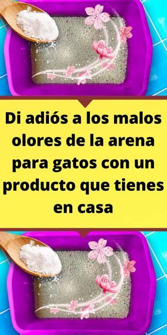 Di Adi S A Los Malos Olores De La Arena Para Gatos Con Un Producto Que