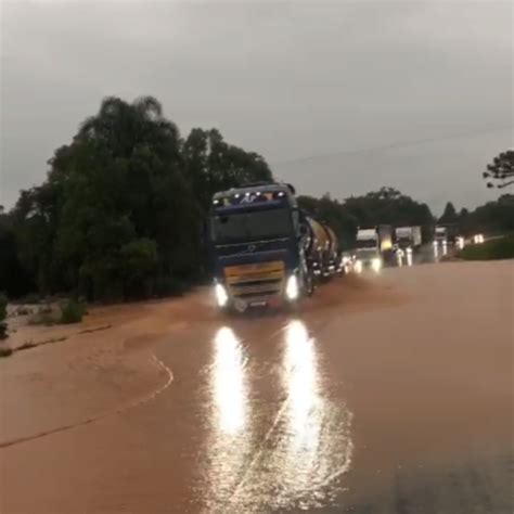 Chuva Forte Deixa Ruas Alagadas E Provoca Quedas De Rvores Em Bairros