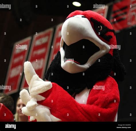 University of miami mascot hi-res stock photography and images - Alamy