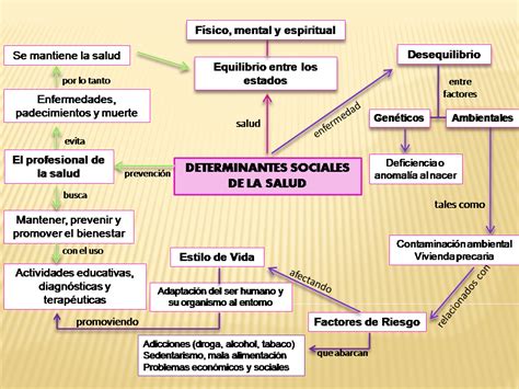 Salud Y Sociedad Salud Seg N Sus Determinantes Sociales