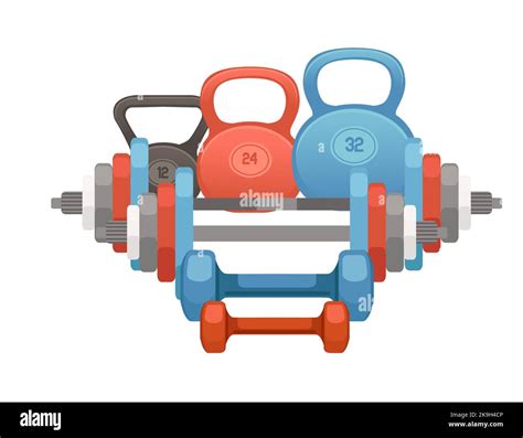 Collection Of Barbell Dumbbell Gym Vector Illustration Isolated On