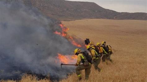 Controlado El Incendio Forestal En El Entorno Del Cerro Del Viso