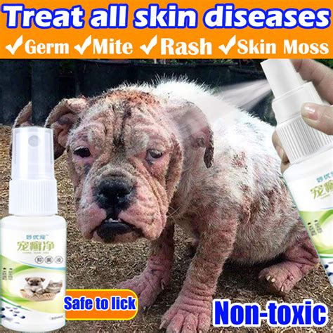 Non Toxic Can Be LickedPet Antibacterial Spray Galis Treatment For