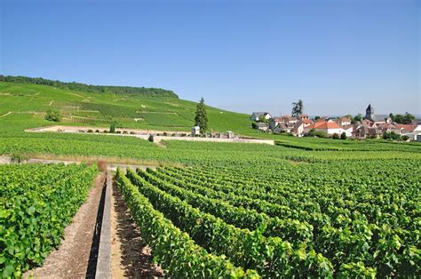 12 Best Things to Do in Epernay in 2024 (Beyond Champagne!)