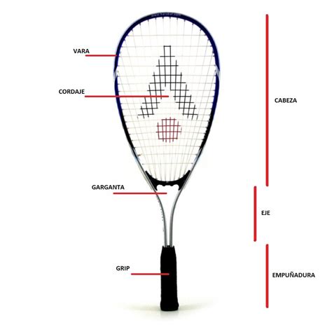 Lbumes Imagen Partes De Una Raqueta De Tenis Actualizar