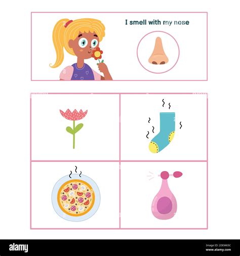 Sentido Del Olfato Para Niños