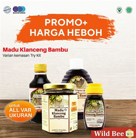 MADU KLANCENG BAMBU ASLI MURNI 100 Lebah Apis Trigona WILD BEE