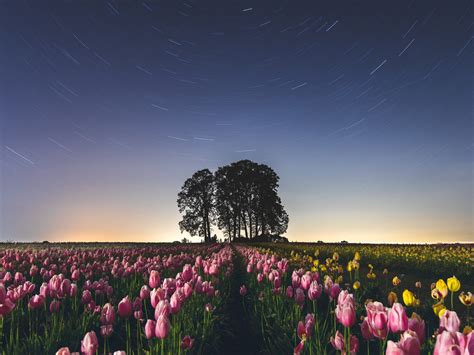 Spring Night Sky Wallpapers - Wallpaper Cave