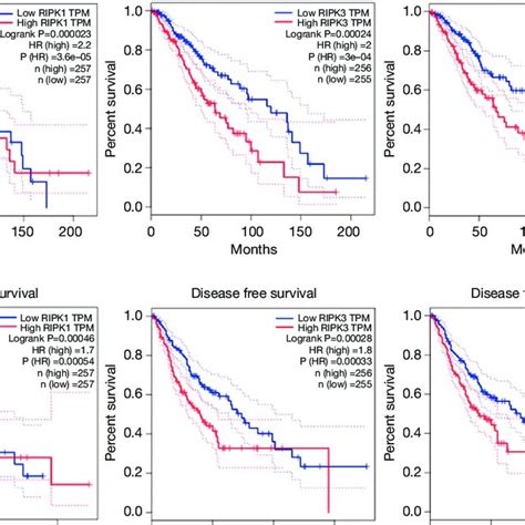 The Relationship Between Ripk Ripk Mlkl Expression And Prognosis In