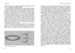 Que Son Los Conflictos Administraci N De Empresas Econom A Ppt