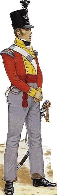 Th Regiment Of Foot Numbered Regiments