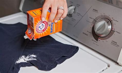 5 Effective Ways To Remove Mold From Clothes