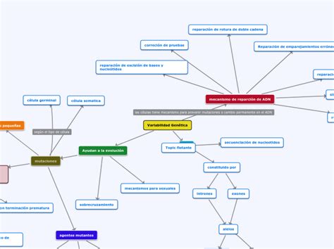 Variabilidad Gen Tica Mind Map