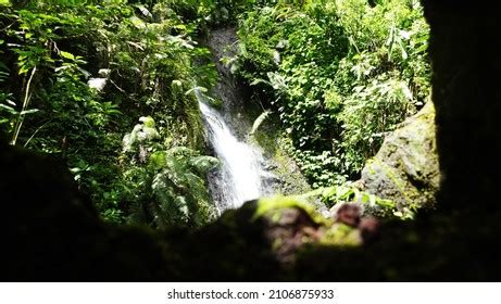 483 Gunung Gede Pangrango Images, Stock Photos & Vectors | Shutterstock