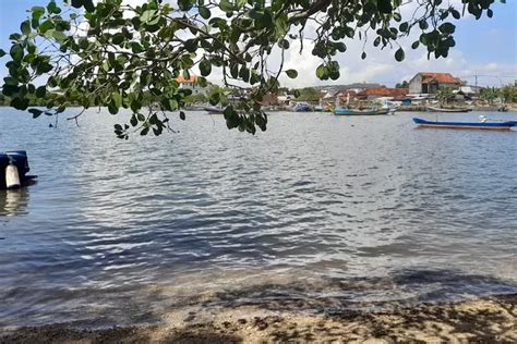 Menikmati Keindahan Alam Dan Hutan Mangrove Dengan Berwisata Alam Di