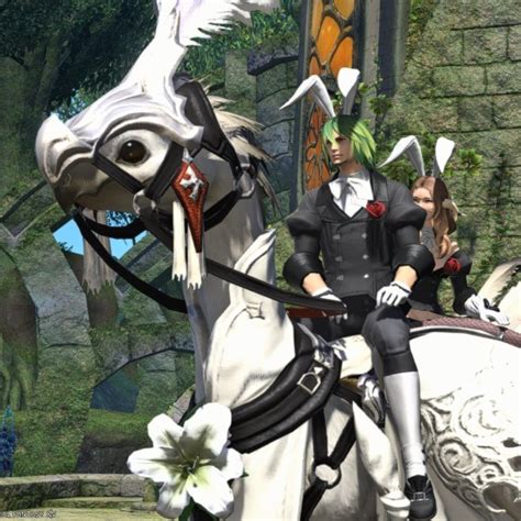 Multi Person Mounts In Ffxiv How To Get And Are They Worth It