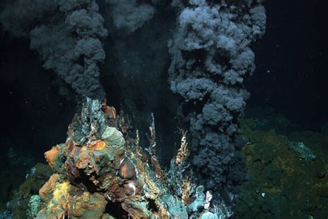 Oceanul Pacific Cel Mai Mare Ocean De Pe Planeta Noastră Info Natura