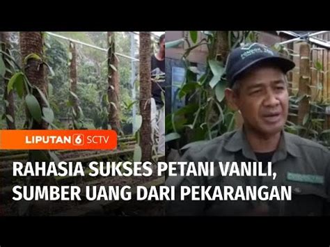 Berani Berubah Rahasia Sukses Mengubah Pekarangan Rumah Jadi Sumber