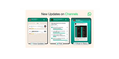 WhatsApp Roll Out More Features On Channels